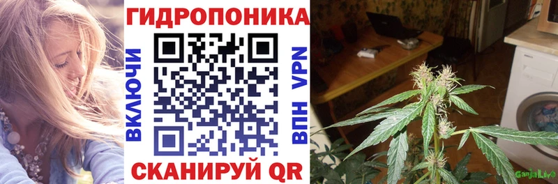 Каннабис Ganja  купить   Сортавала 